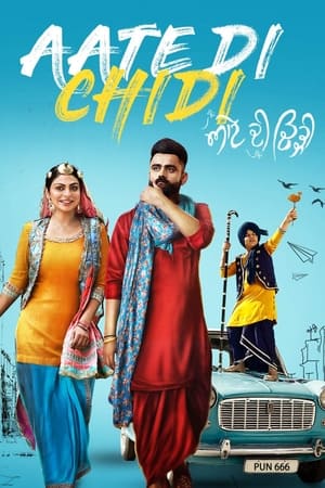 Aate di chidi (2018) Punjabi Movie - [400MB] - Movierulz