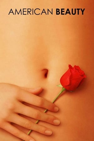 American Beauty (1999) Hindi Dual Audio [900MB] - Movierulz