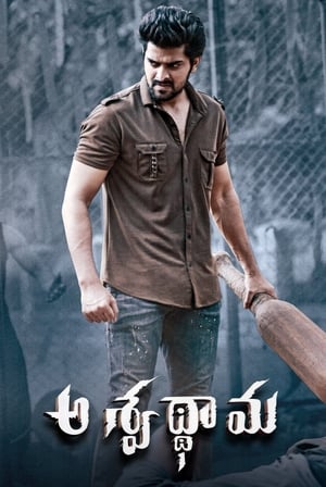 Aswathama 2020 (Hindi – Telugu) Dual Audio [960MB] - Movierulz