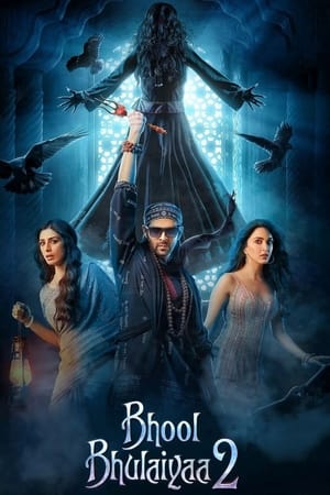 Bhool Bhulaiyaa 2 2022 Hindi Movie – - Movierulz
