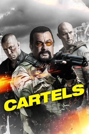 Cartels 2017 Hindi Dual Audio [900MB] - Movierulz