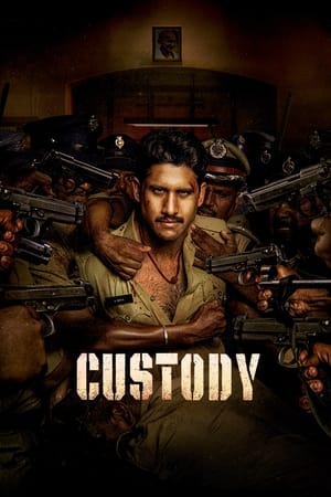 Custody 2023 Hindi (ORG) Dubbed HDTVRip – - Movierulz