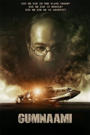 Gumnaami (2019) Hindi Movie [1GB] - Movierulz