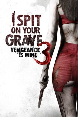 I Spit on Your Grave: Vengeance Is Mine (2015) Hindi Dual Audio – - Movierulz