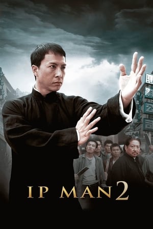 Ip Man 2 (2010) Hindi Dual Audio 350MB - Movierulz