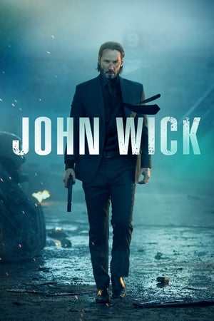 John Wick (2014) Hindi Dual Audio [900MB] ESubs - Movierulz