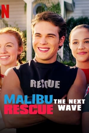 Malibu Rescue: The Next Wave (2020) Hindi Dual Audio 230MB - Movierulz