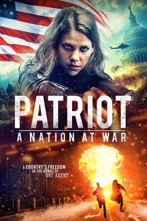 Patriot A Nation at War 2020 Hindi Dual Audio 300MB - Movierulz
