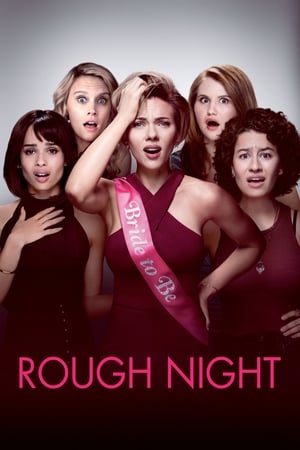 Rough Night (2017) Hindi Dual Audio [800MB] - Movierulz