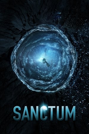 Sanctum (2011) Hindi Dual Audio [750MB] - Movierulz