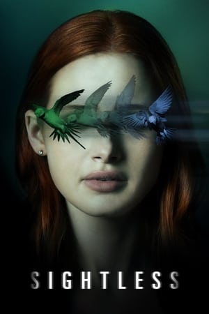 Sightless 2020 Hindi Dual Audio [800MB] - Movierulz
