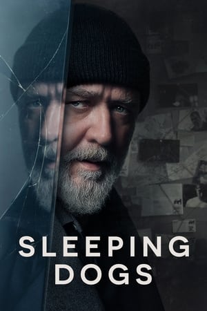Sleeping Dogs (2024) Hindi Dual Audio – 720p – - Movierulz