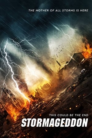 Stormageddon (2015) Hindi Dual Audio 290MB - Movierulz