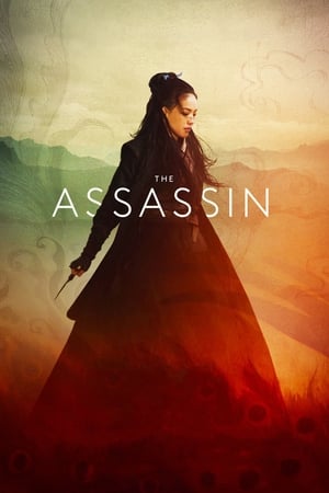 The Assassin 2015 Hindi Dual Audio [1.1GB] - Movierulz
