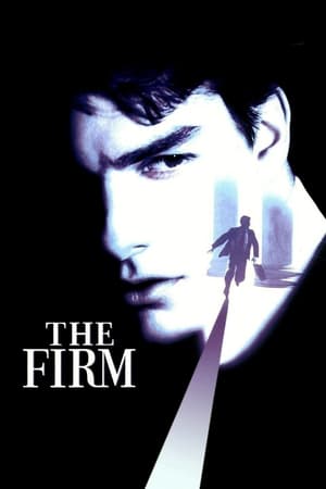 The Firm (1993) Hindi Dual Audio 450MB - Movierulz