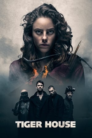 Tiger House (2015) Hindi Dual Audio 300MB - Movierulz