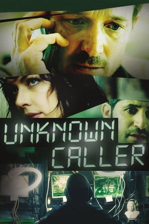 Unknown Caller 2014 Hindi Dual Audio [900MB] ESubs - Movierulz