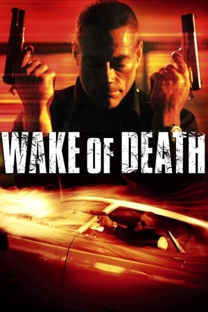 Wake of Death 2004 Hindi Dual Audio 300MB - Movierulz